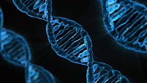 Ciencias Biológicas