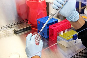 Ciencias Físicas y Ciencias Exactas